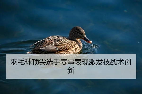 羽毛球顶尖选手赛事表现激发技战术创新